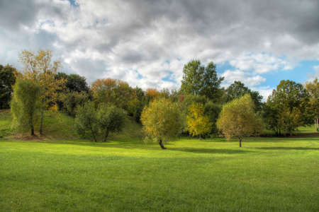Trees and forest landscape. Nature background.の写真素材
