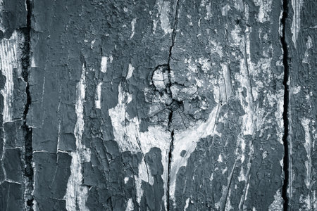 Fragment of a texture of  an old painted weathered wooden door. Black and white
