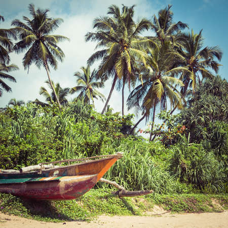 Colorful fishing boat on a tropical beach with palm trees and mangrove in the backgroundの写真素材