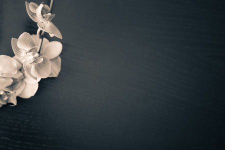 Orchid flowers on a wooden table as a background. Retro style effect