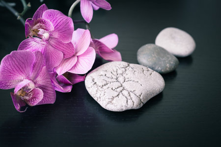 Spa massage stones and orchids flowers as a backgroundの写真素材