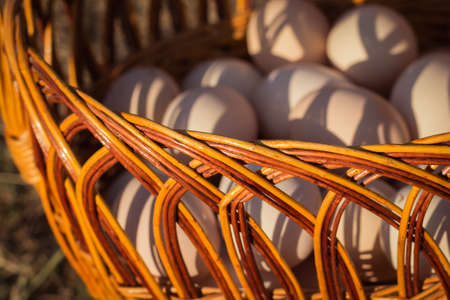 Fragment of a woven basket full of chicken eggsの写真素材