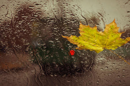 Fallen yellow leaf and rain drops on a car windshield with city road in the background. Toned effectの写真素材