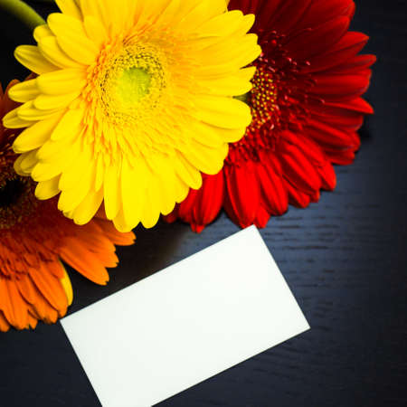 Bright colorful gerbera flowers and blank paper card for your text on a dark wooden backgroundの写真素材