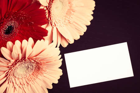 Bright colorful gerbera flowers and blank paper card for your text on a dark wooden background. Toned effectの写真素材