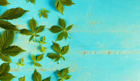 Fresh green chestnut leaves on an old painted wooden table . Nature background.Top view.