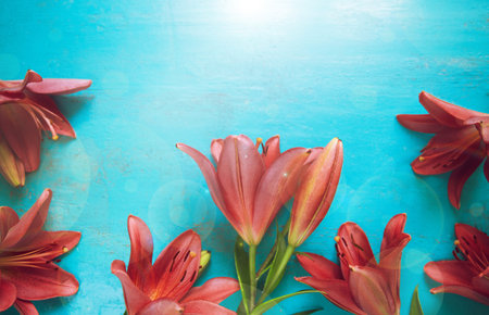 Fresh garden lilies lying as a frame on old painted wooden table. Beautiful floral background for...
