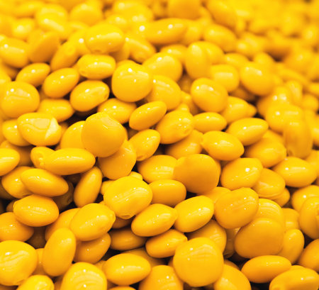 Cooked yellow lupinus albus beans at the market close up. Food to go. Tasty take away snack suitable...