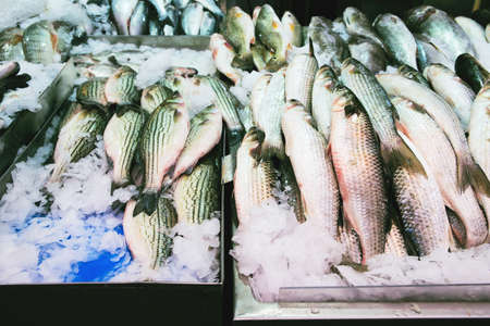 Fresh fish on ice at the market close up. Food concept backgroundの写真素材