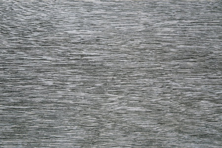 Wooden texture close up. Natural material concept. Abstract background