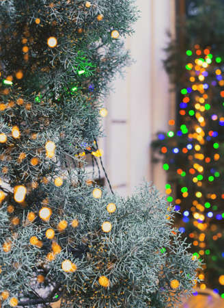 Christmas tree on the street decorated with colorful garland lights. Festive and celebration concept.の写真素材