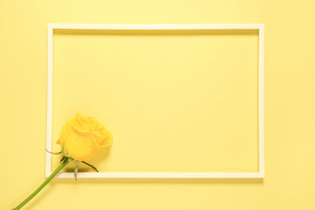 Yellow rose bud in a frame. Minimal style background for posters, seasonal cards, web design.
