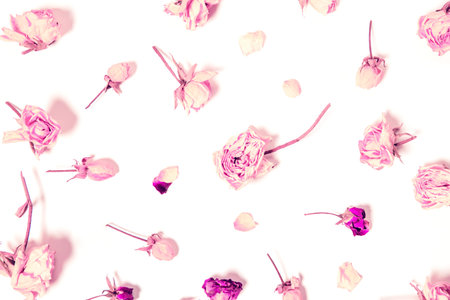 Flower composition made of dried rose buds  on white background. Beautiful backdrop for blogs,...