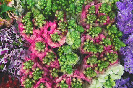 Bouquets of colorful antirrhinum majus( snapdragon) flowers at the market close up. Beautiful floral background. Top view. Selective focusの写真素材