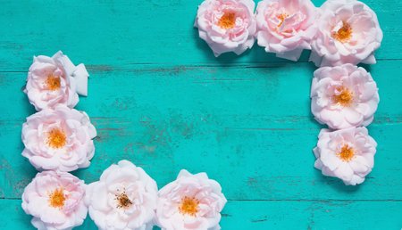 Old painted wooden table  with fresh garden roses lying as a frame. Summer background with copy...