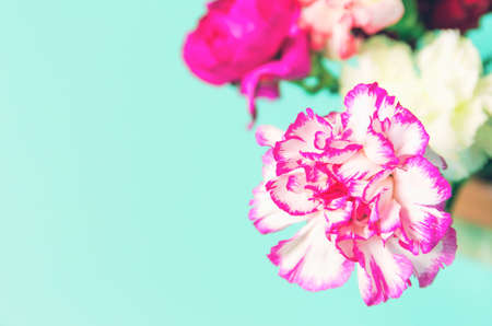 Beautiful bouquet of colorful carnations close up. Nature concept background. Copy spaceの写真素材