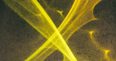 Abstract bright colorful background of neon light on the wall.
