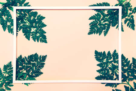 Abstract composition with green leaves and white frame on pastel background. Creative nature layout. Summer concept. Flat lay. Copy spaceの写真素材