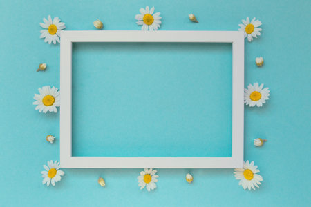 Camomile flowers with a frame on pastel background. Floral backdrop for seasonal cards, blogs,...