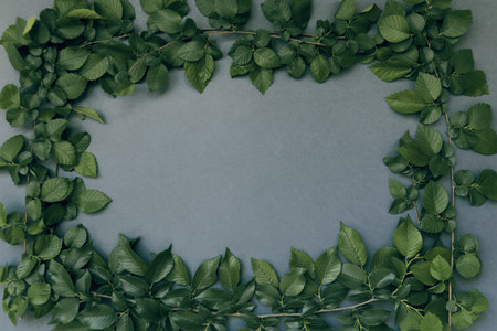 Abstract composition with green leaves laying as a frame on dark grey  background. Creative nature...