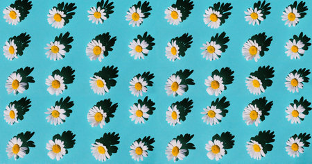 Camomile flowers on pastel background. Floral backdrop for seasonal cards, blogs, posters and web...