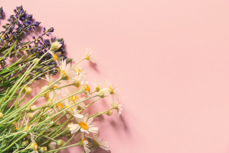 Bouquet of meadow flowers on pastel background. Nature backdrop. Top view. Copy space. Selective...