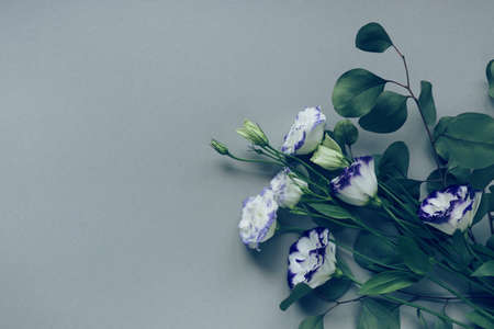 Beautiful bouquet of eustoma flowers on pastel background for seasonal cards, blogs, posters and web design. Nature concept. Top view. Flat lay. Copy spaceの写真素材