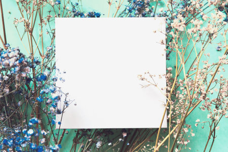 White empty blank for text with meadow flowers on colorful background. Nature floral backdrop for seasonal cards, blogs and web designの写真素材