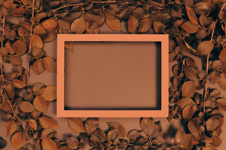 Abstract composition with green leaves and white frame. Creative nature layout for seasonal cards,...