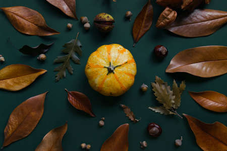 Autumn composition made of pumpkins, dried leaves, chestnuts and acorns. Autumn, fall, halloween concept. Flat lay, top view.の写真素材
