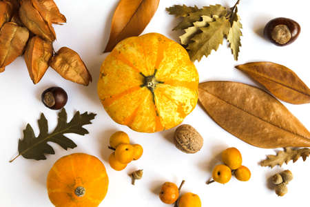 Autumn creative composition made of pumpkins, dried leaves, chestnuts and acorns on white background. Autumn, fall, halloween concept. Flat lay, top view.の写真素材