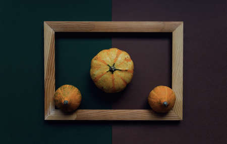 Autumn composition made of pumpkins in a wooden frame. Autumn, fall, halloween concept. Flat lay, top view, copy spaceの写真素材