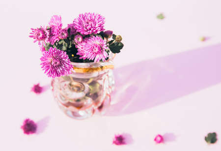 Creative composition made of bouquet of chrysanthemum flowers in a vase on pastel background. Beautiful floral backdrop. Nature consept. Idea for seasonal cards and web design. Selective focusの写真素材