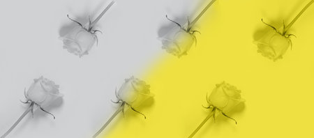 Seamless pattern of rose buds on pastel background. Abstract backdrop. Colors of 2021 inspiredの写真素材