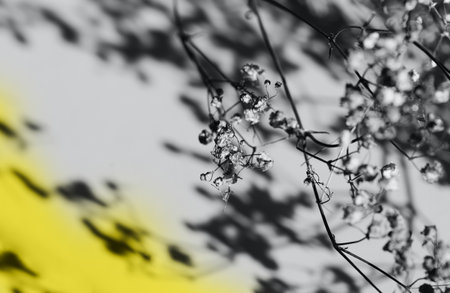 Meadow flowers close up. Beautiful nature background for blogs, postrers, cards, web design. Selective focus. Color of 2021 inspiredの写真素材