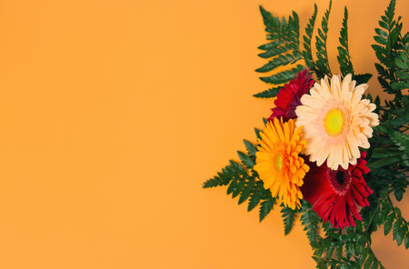 Beautiful gerbera flowers with fern leaves on colorful background. Creative layout for seasonal cards, wed desigh. Top view. Flat lay. Copy spaceの写真素材
