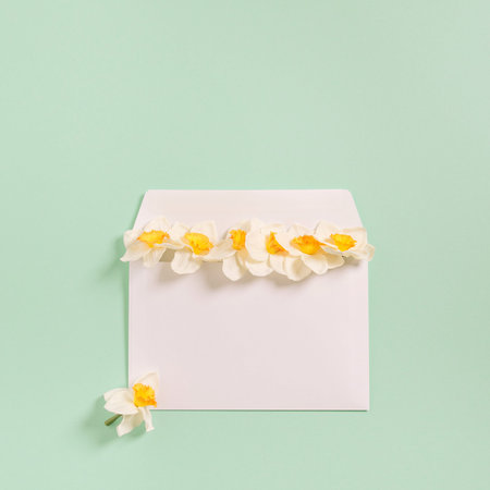 Envelope with decorative daffodil flowers on pastel green background. Greeting and festive concept....