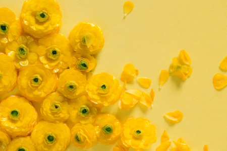 Yellow buttercup flowers close up. Nature concept. Top view. Flat lay