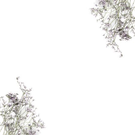 Beautiful meadow flowers on white background. Nature concept. Minimal style. Flat lay. Top view. Copy space.の写真素材