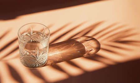 Glass of water on sunlit background with shade. Summer refreshment concept. Minimal style.の写真素材