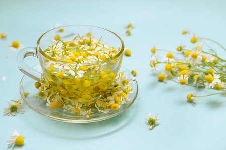 Creative composition made of a cup of camomile tea on pastel blue background. Natural herbal drink for relaxation. Nature concept.の写真素材
