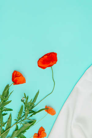 Creative composition made of red poppies on pastel blue background with white silk cloth. Nature concept. Summer background in minimal style. Top view. Flat layの写真素材
