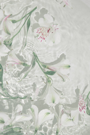 White alstroemeria flowers in water. Summer composition with sun and shadows. Nature concept. Top...