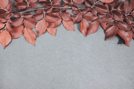 Minimal style composition made of branch with red leaves on gray background. Fall and autumn nature concept. Top view. Flat layの写真素材