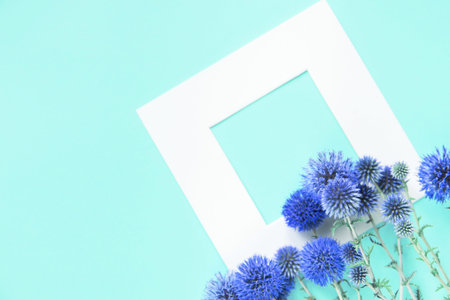 Summer floral composition made of beautiful eryngium flowers and white frame on pastel background....
