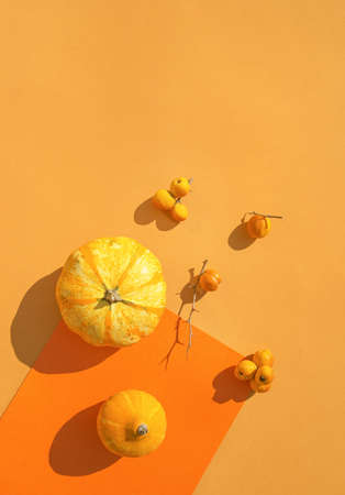 Creative composition made of pumpkins on colorful sunlit background with shadows. Minimal style composition. Autumn, fall, halloween concept. Flat lay, top view.の写真素材