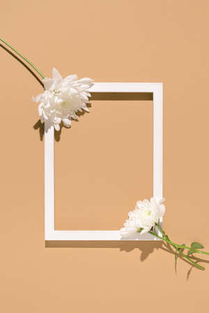 Chrysanthemum flowers and white frame on pastel beige background. Nature concept. Top view. Flat lay.の写真素材