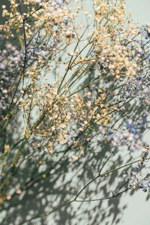 Meadow flowers close up. Beautiful nature background. Selective focusの写真素材