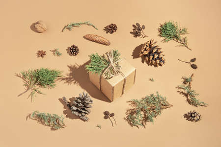 Creative composition made of craft present box on pastel beige background with juniper branches, and pine cones. Christmas or birthday gift. Celebration and party concept.の写真素材