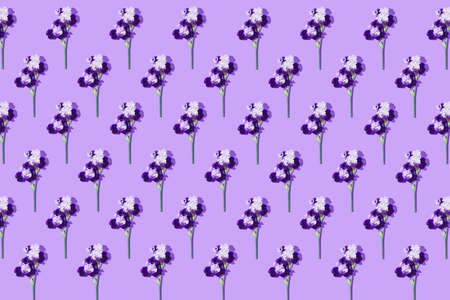 Creative floral pattern made of beautiful iris flower on pastel violet background. nature concept. minimal style. top view. flat layの写真素材